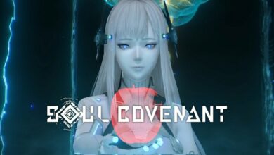 Soul Covenant