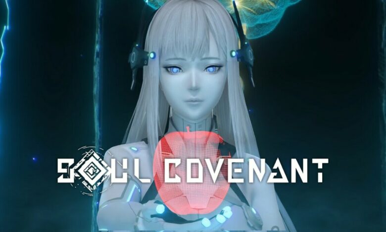 Soul Covenant