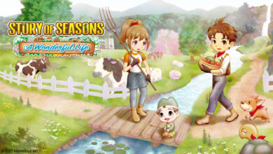 Story of Seasons: A Wonderful Life|Genshin Impact