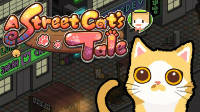 A Street Cat's Tale