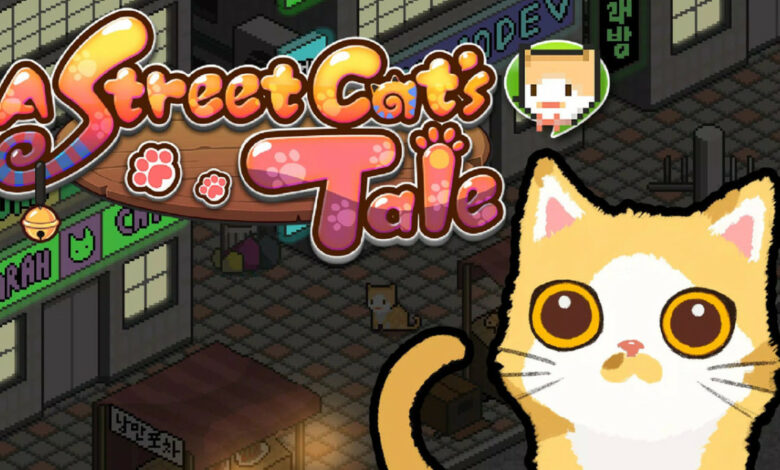 A Street Cat's Tale