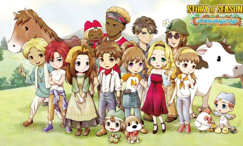 Story of Seasons: A Wonderful Life