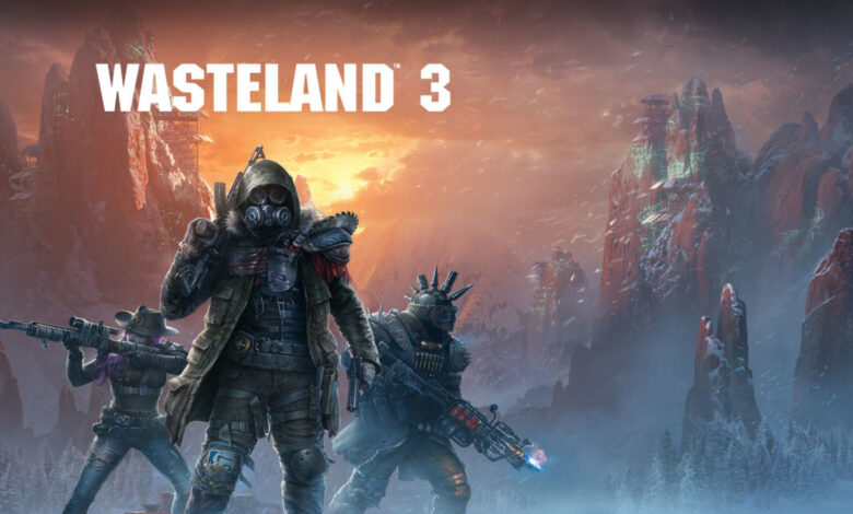 Wasteland 3