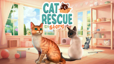 Cat Rescue Story|