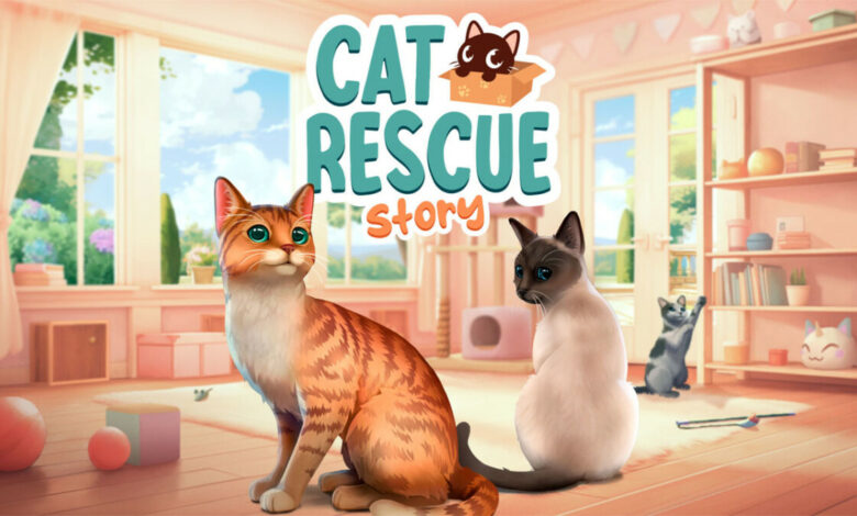 Cat Rescue Story|