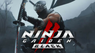 Ninja Gaiden 2 Black