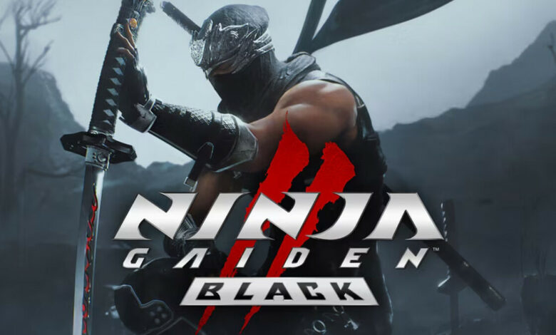 Ninja Gaiden 2 Black