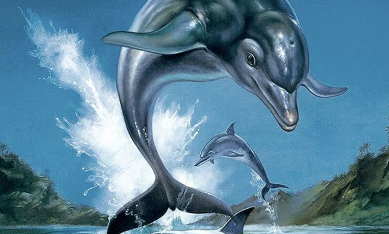 Ecco the Dolphin